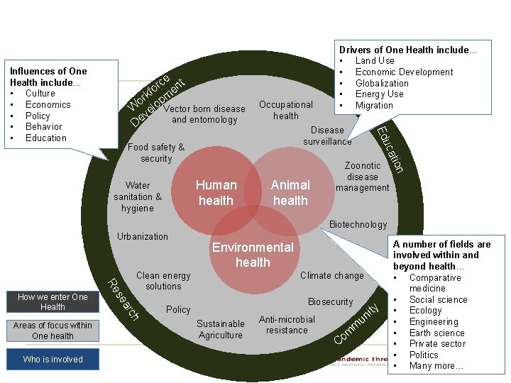 e rc ent o kf m r o p W elo Vector born disease e rc ent o kf m r o p W elo Vector born disease