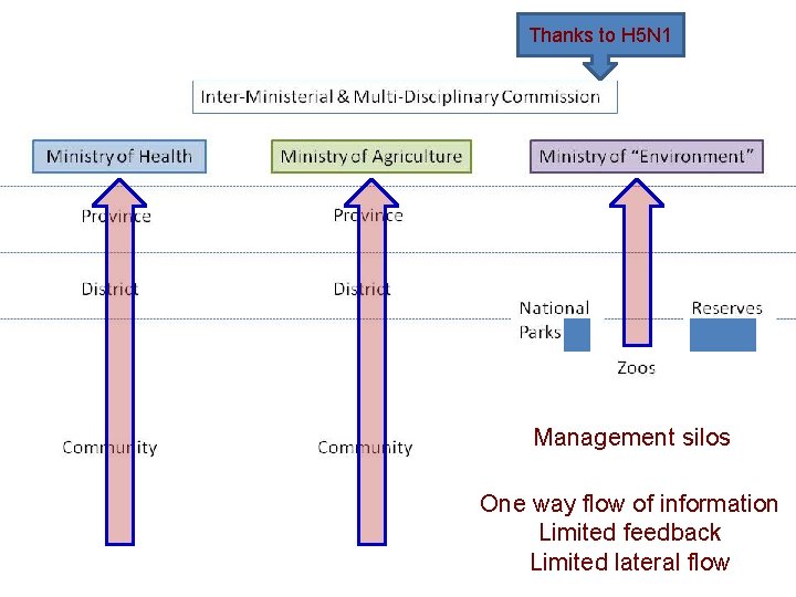 Thanks to H 5 N 1 Management silos One way flow of information Limited Thanks to H 5 N 1 Management silos One way flow of information Limited