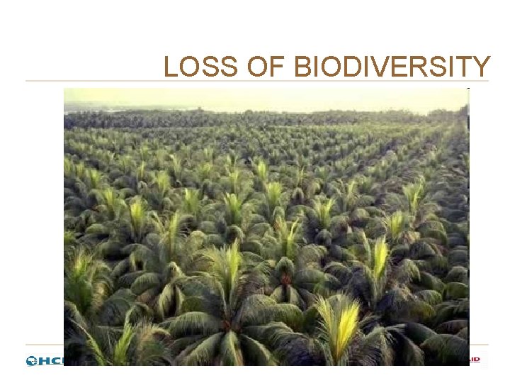 LOSS OF BIODIVERSITY LOSS OF BIODIVERSITY