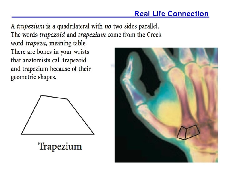 Real Life Connection 