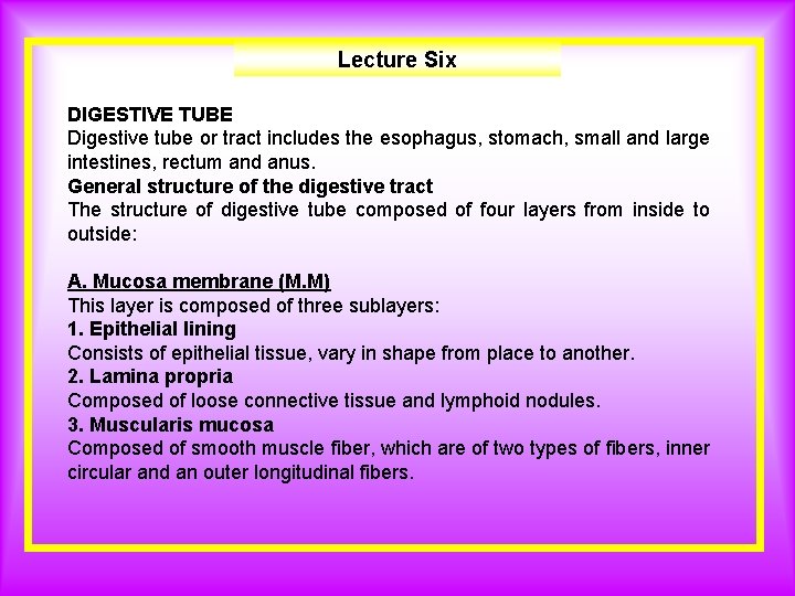 Lecture Six DIGESTIVE TUBE Digestive tube or tract includes the esophagus, stomach, small and