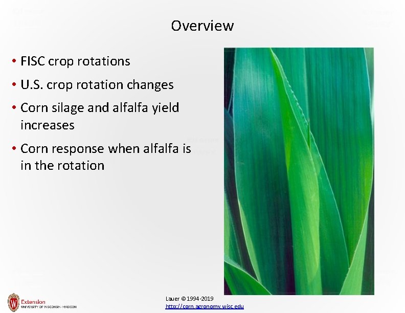 Overview • FISC crop rotations • U. S. crop rotation changes • Corn silage