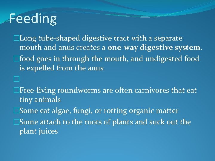 Feeding �Long tube-shaped digestive tract with a separate mouth and anus creates a one-way
