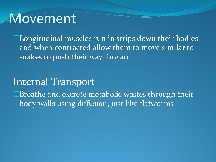 Movement �Longitudinal muscles run in strips down their bodies, and when contracted allow them