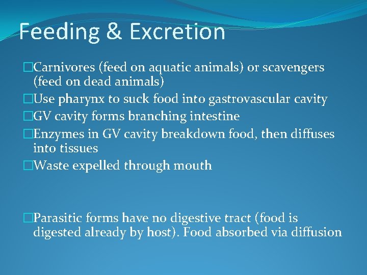 Feeding & Excretion �Carnivores (feed on aquatic animals) or scavengers (feed on dead animals)