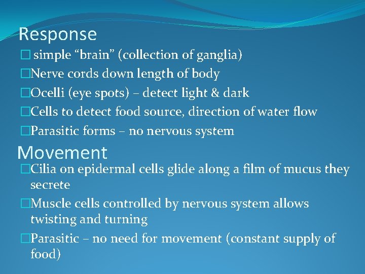 Response � simple “brain” (collection of ganglia) �Nerve cords down length of body �Ocelli