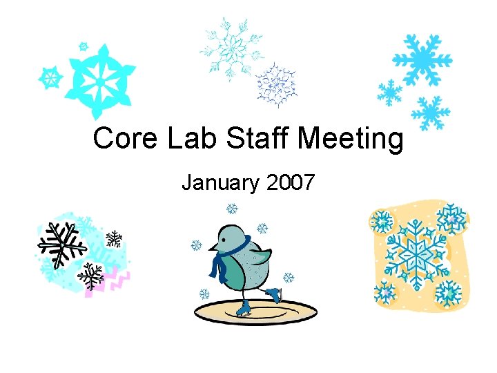 Core Lab Staff Meeting January 2007 