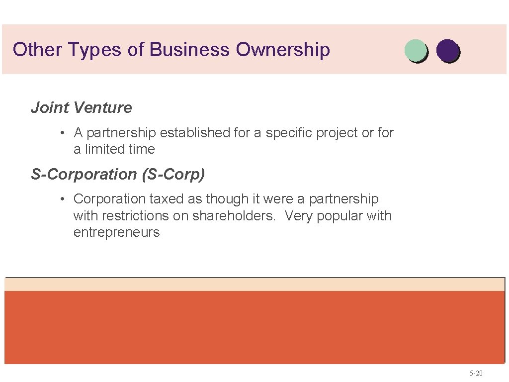 Other Types of Business Ownership Joint Venture • A partnership established for a specific