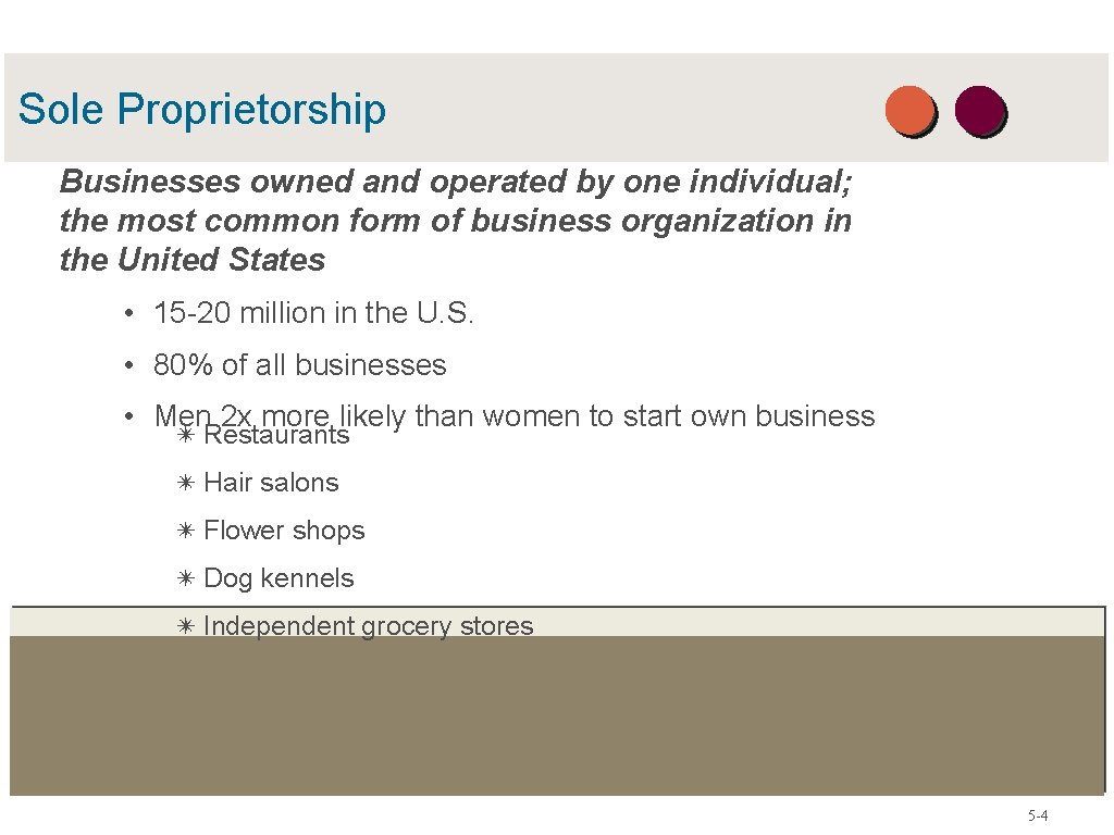 Sole Proprietorship Businesses owned and operated by one individual; the most common form of