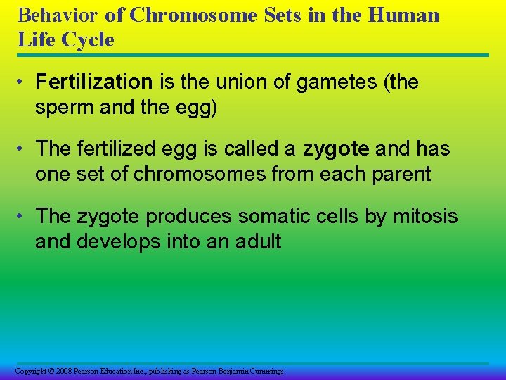 Chapter 13 Meiosis and Sexual Life Cycles Overview