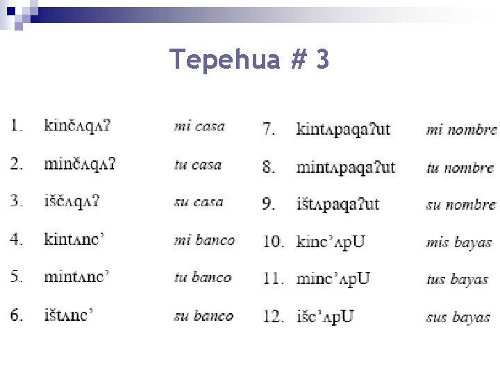 Tepehua # 3 