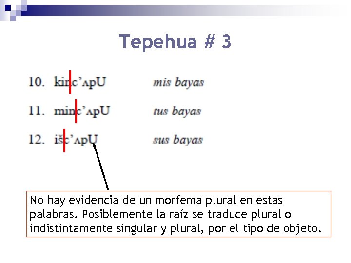 Tepehua # 3 No hay evidencia de un morfema plural en estas palabras. Posiblemente