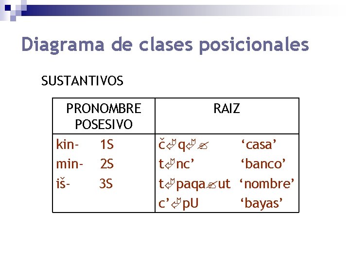 Diagrama de clases posicionales SUSTANTIVOS PRONOMBRE POSESIVO kin 1 S min- 2 S iš