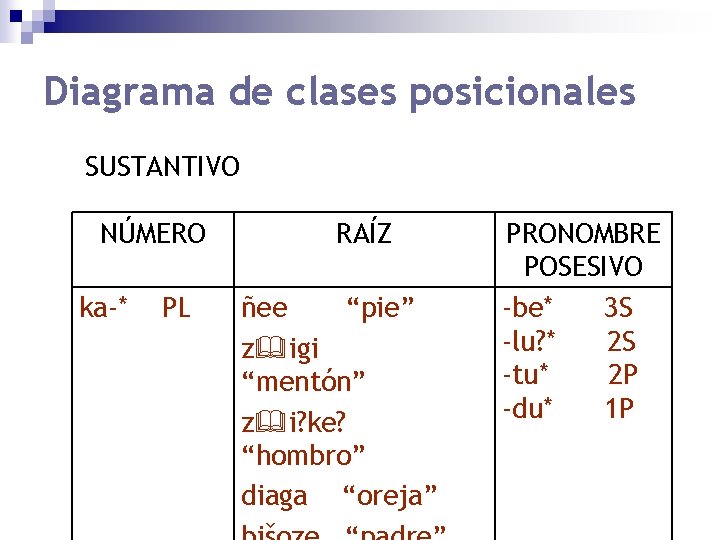 Diagrama de clases posicionales SUSTANTIVO NÚMERO ka-* PL RAÍZ ñee “pie” z igi “mentón”