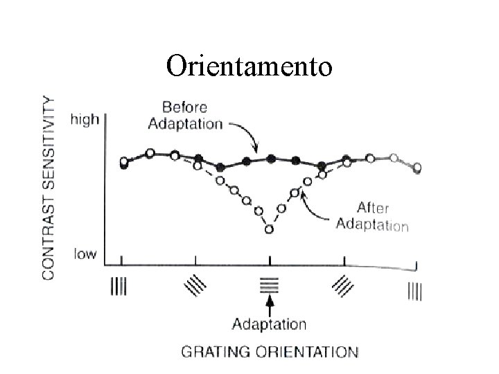 Orientamento 