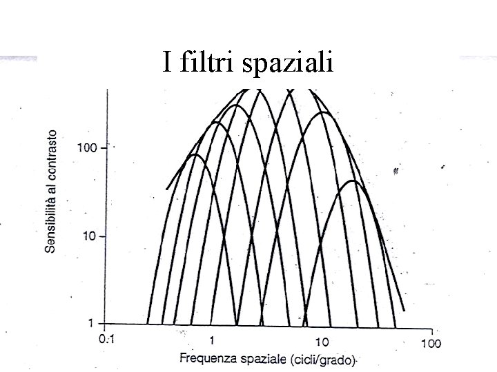 I filtri spaziali 