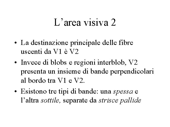 L’area visiva 2 • La destinazione principale delle fibre uscenti da V 1 è