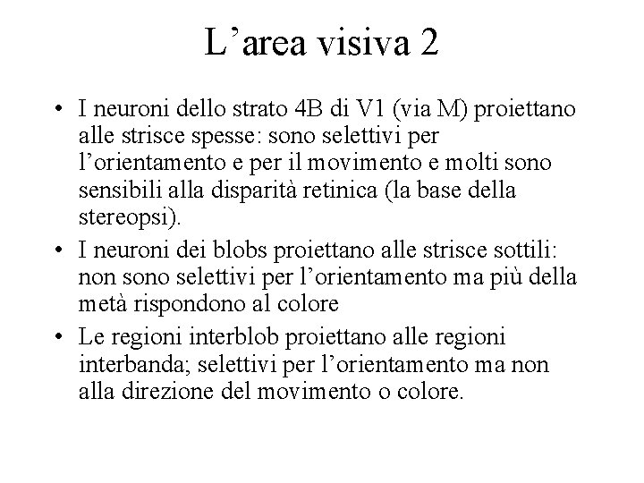 L’area visiva 2 • I neuroni dello strato 4 B di V 1 (via