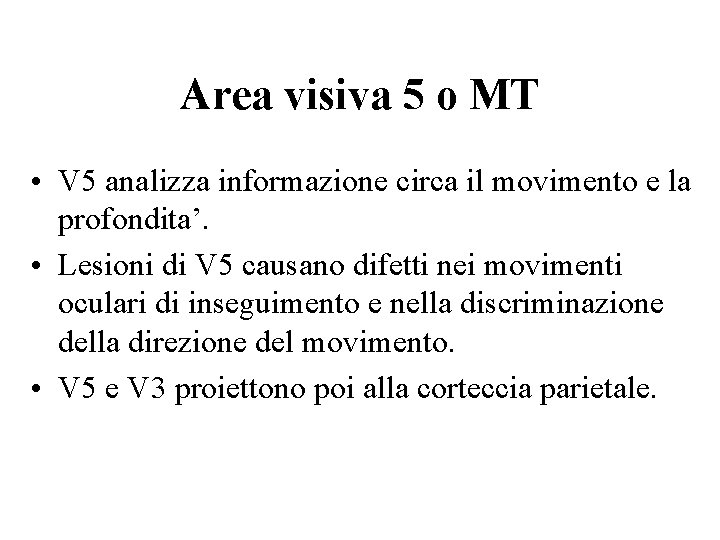 Area visiva 5 o MT • V 5 analizza informazione circa il movimento e