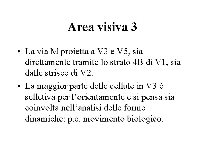 Area visiva 3 • La via M proietta a V 3 e V 5,