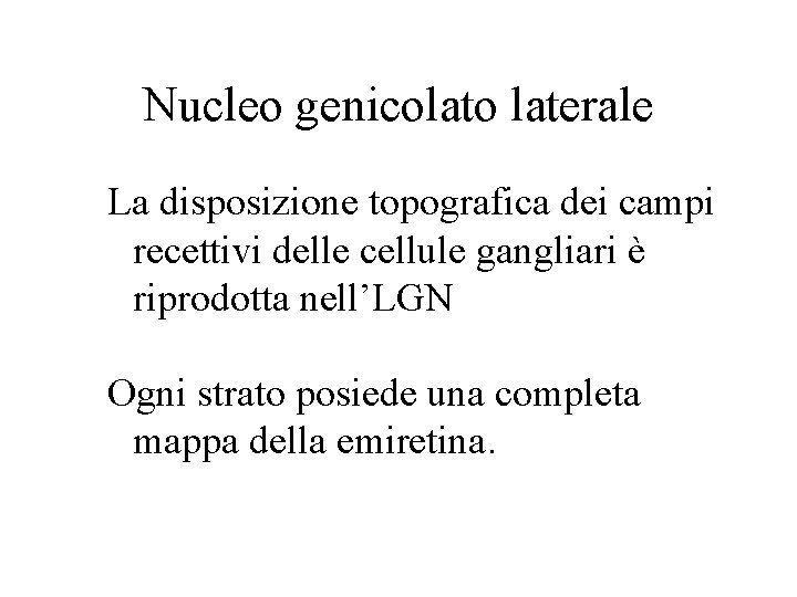 Nucleo genicolato laterale La disposizione topografica dei campi recettivi delle cellule gangliari è riprodotta