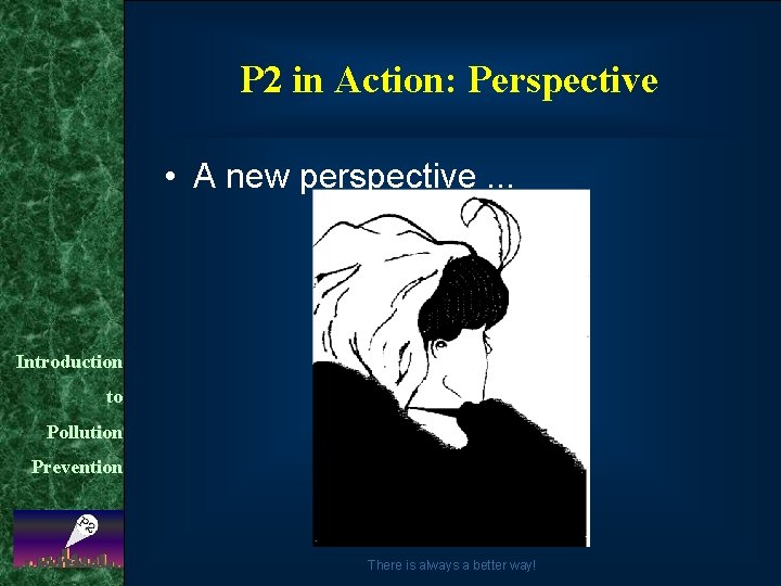 P 2 in Action: Perspective • A new perspective. . . Introduction to Pollution