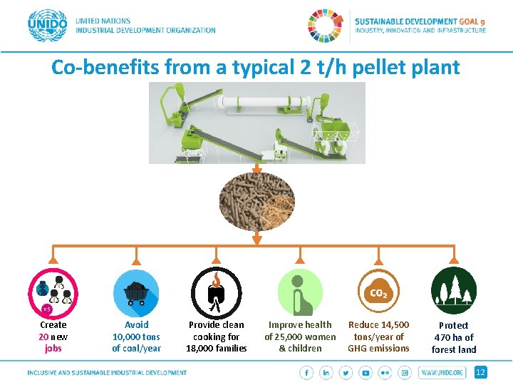 Co-benefits from a typical 2 t/h pellet plant Create 20 new jobs Avoid 10,