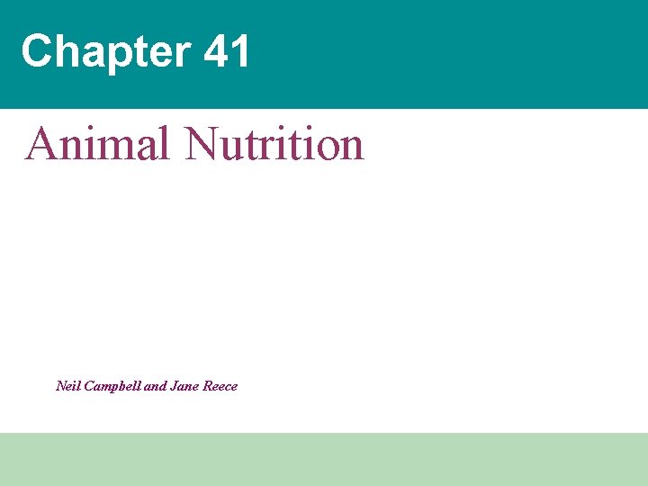 Chapter 41 Animal Nutrition Neil Campbell and Jane Reece 