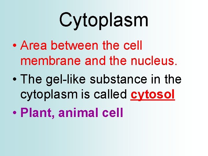 Cytoplasm • Area between the cell membrane and the nucleus. • The gel-like substance