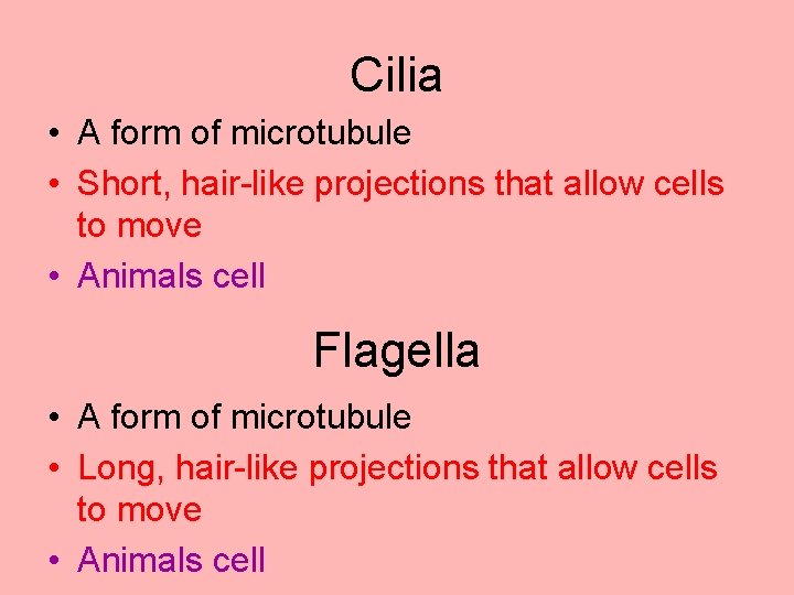Cilia • A form of microtubule • Short, hair-like projections that allow cells to