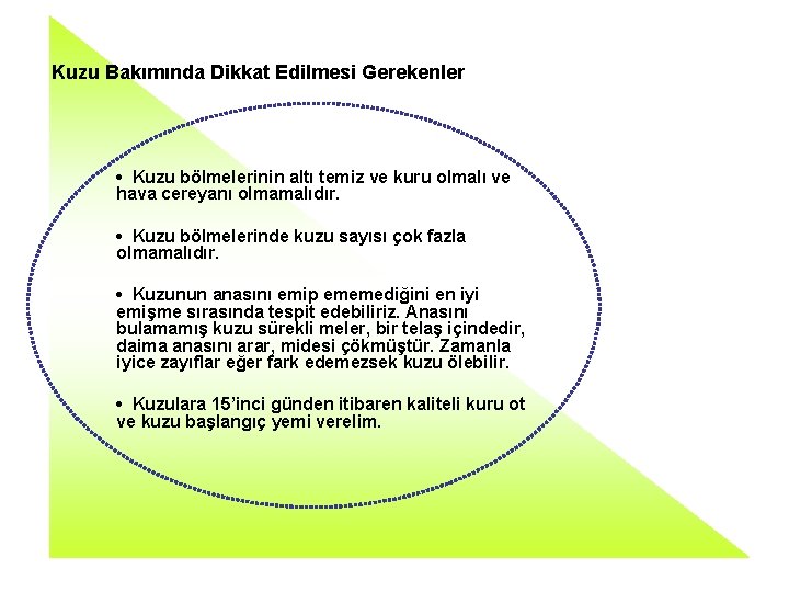 Kuzu Bakımında Dikkat Edilmesi Gerekenler • Kuzu bölmelerinin altı temiz ve kuru olmalı ve