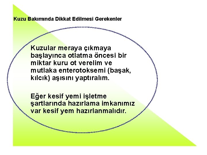 Kuzu Bakımında Dikkat Edilmesi Gerekenler Kuzular meraya çıkmaya başlayınca otlatma öncesi bir miktar kuru