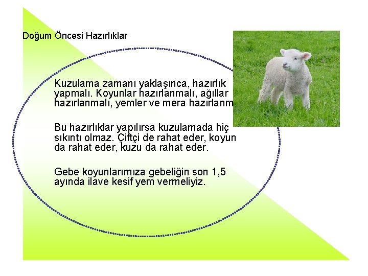 Doğum Öncesi Hazırlıklar Kuzulama zamanı yaklaşınca, hazırlık yapmalı. Koyunlar hazırlanmalı, ağıllar hazırlanmalı, yemler ve