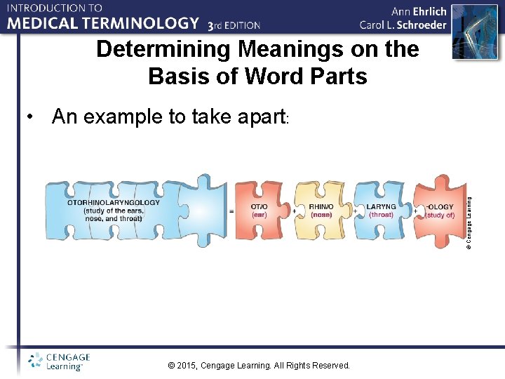 Determining Meanings on the Basis of Word Parts © Cengage Learning • An example