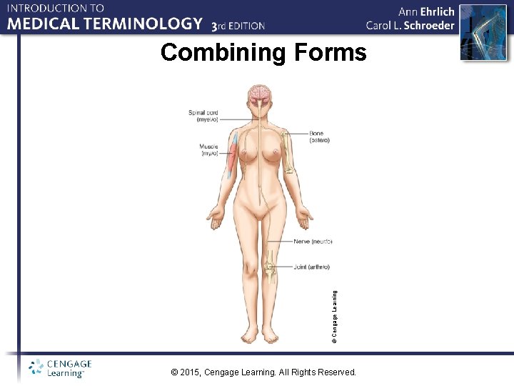 © Cengage Learning Combining Forms © 2015, Cengage Learning. All Rights Reserved. 