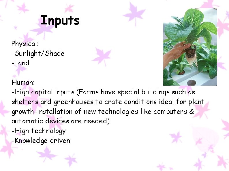 Inputs Physical: -Sunlight/Shade -Land Human: -High capital inputs (Farms have special buildings such as