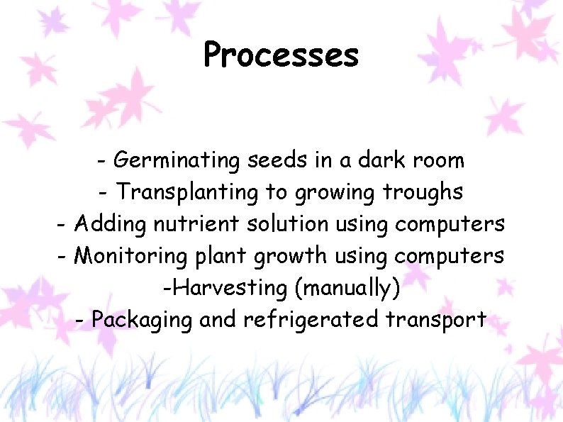 Processes - Germinating seeds in a dark room - Transplanting to growing troughs -