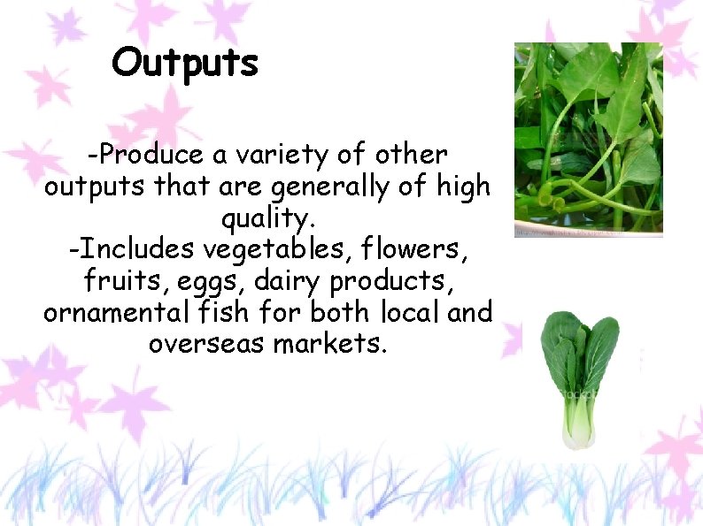 Outputs -Produce a variety of other outputs that are generally of high quality. -Includes