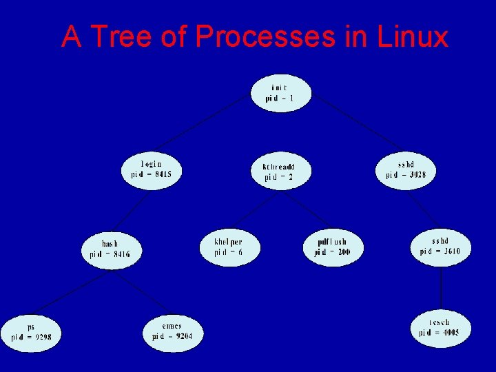 A Tree of Processes in Linux 