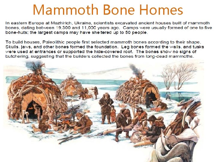 Mammoth Bone Homes 