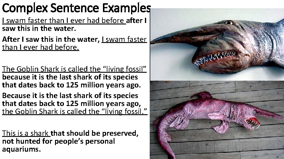 Complex Sentence Examples I swam faster than I ever had before after I saw