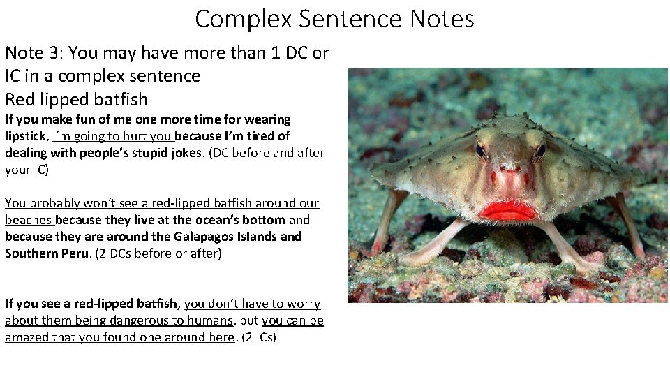 Complex Sentence Notes Note 3: You may have more than 1 DC or IC