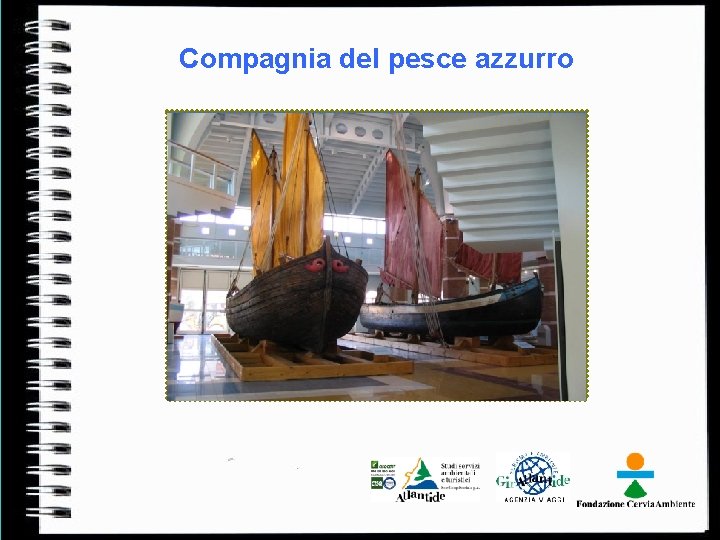 Compagnia del pesce azzurro 