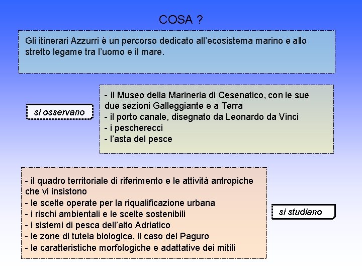 COSA ? Gli itinerari Azzurri è un percorso dedicato all’ecosistema marino e allo stretto