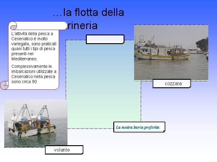 …la flotta della marineria L’attività della pesca a Cesenatico è molto variegata, sono praticati