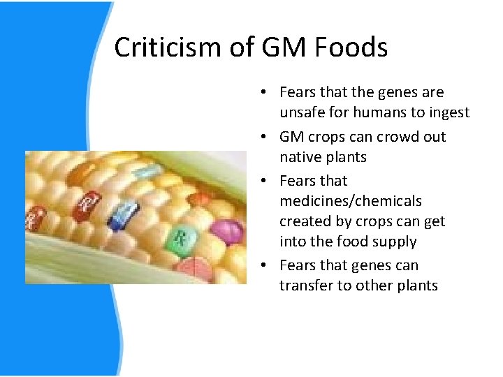 Criticism of GM Foods • Fears that the genes are unsafe for humans to