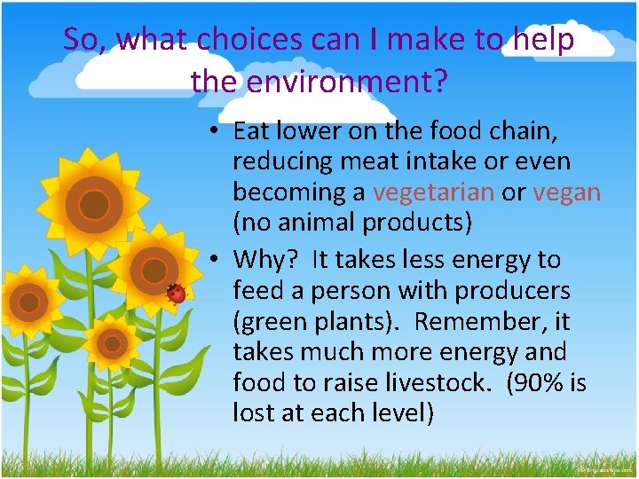 So, what choices can I make to help the environment? • Eat lower on