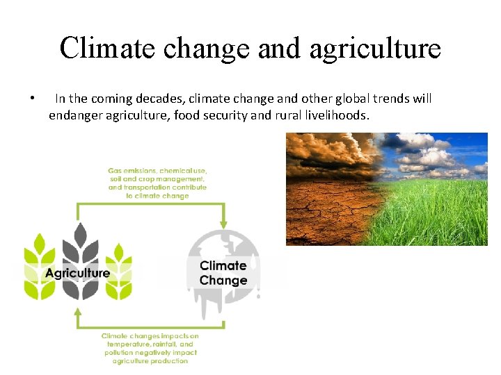 Climate change and agriculture • In the coming decades, climate change and other global