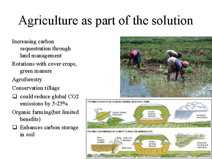 Agriculture as part of the solution Increasing carbon sequestration through land management Rotations with