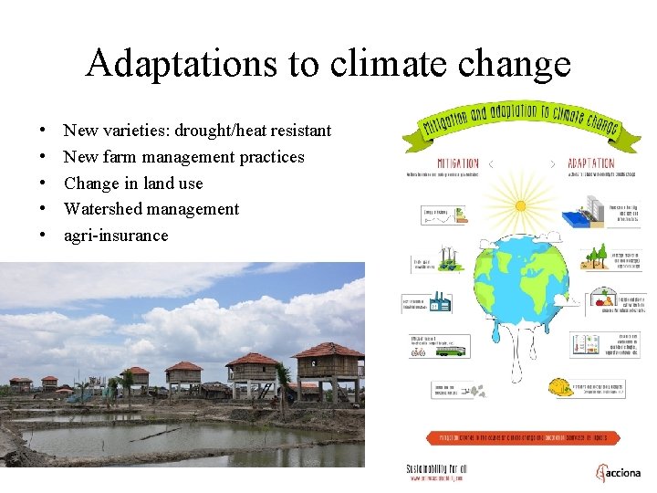 Adaptations to climate change • • • New varieties: drought/heat resistant New farm management